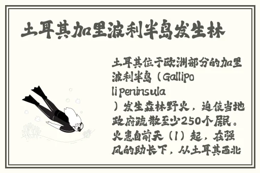 浏览器里面的羞羞漫画